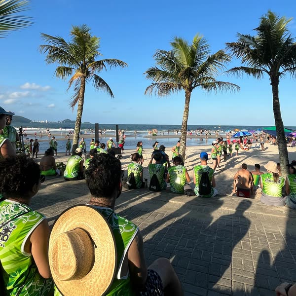 Equipe reunida na praia, entre as palmeiras